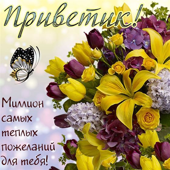 Красивая открытка приветик с желтыми и фиолетовыми цветами