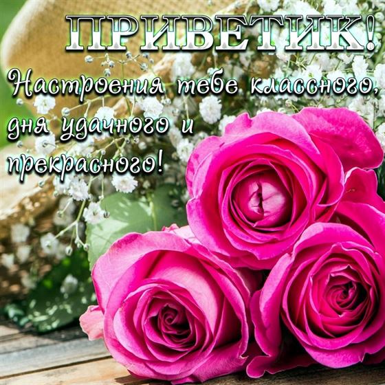 Картинка привет с розовыми розами