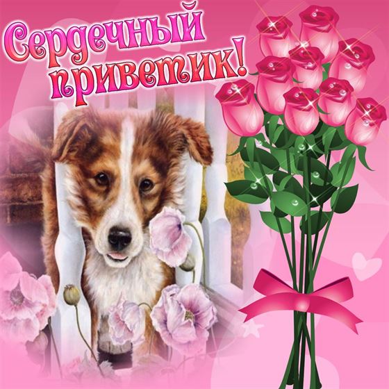 Трогательная открытка привет с собачкой