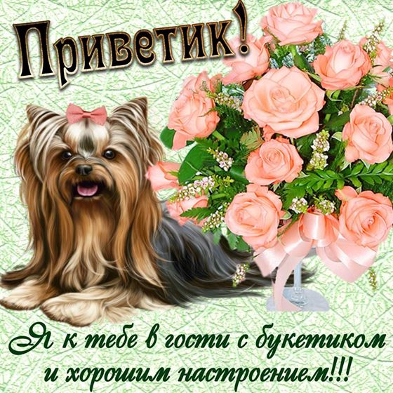 Креативная открытка с щенком и букетом привет