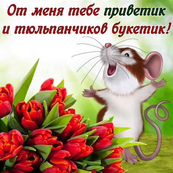Милая открытка привет с мышкой