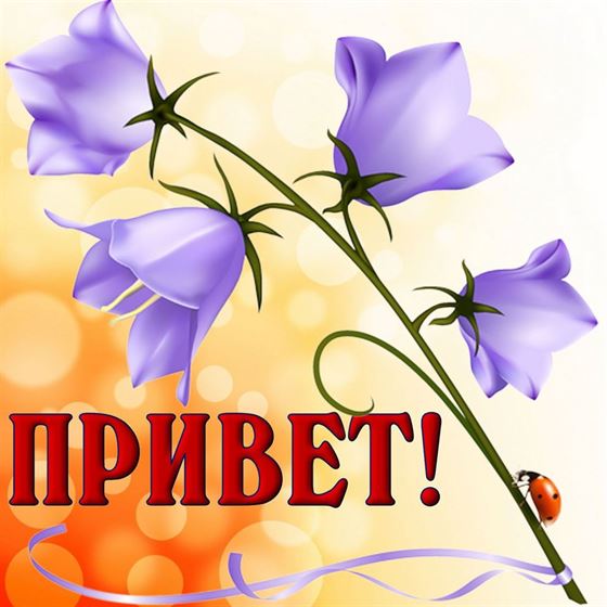 Красивая открытка привет с колокольчиками