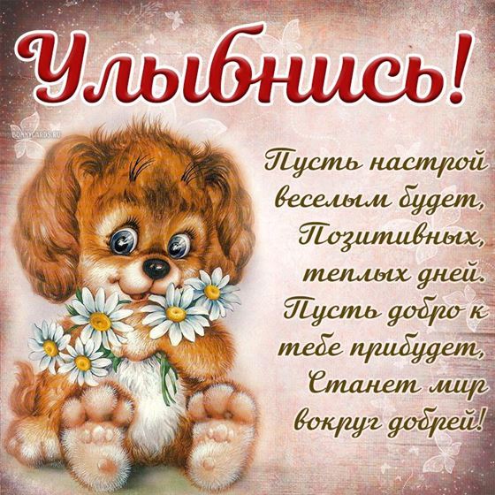 Трогательная открытка улыбнись с щенком