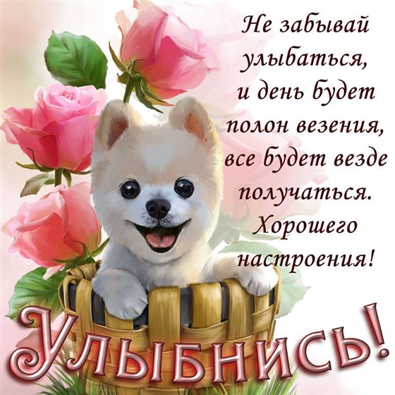 Открытка улыбнись с милым щенком