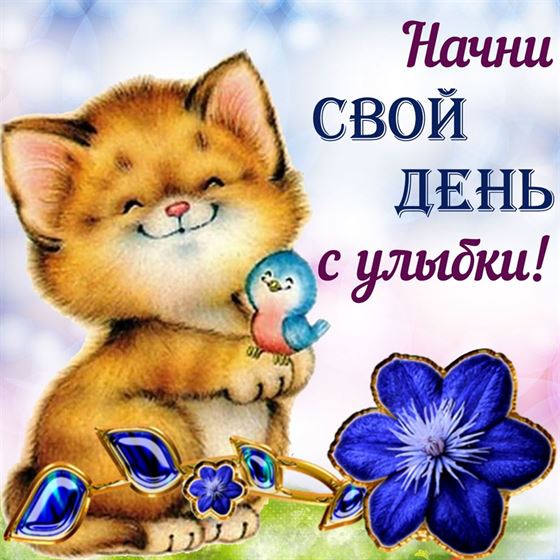 Трогательная открытка улыбнись с птичкой и котом