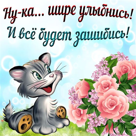 Забавная картинка улыбнись с котом