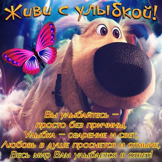 Смешная открытка улыбнись с собакой