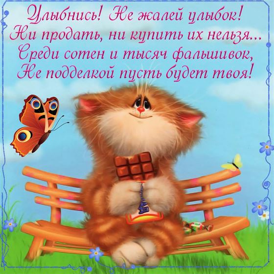 Трогательная открытка с котом улыбнись