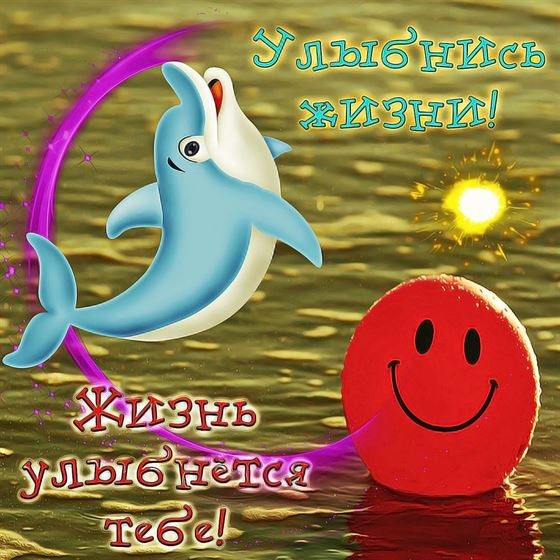 Красивая открытка улыбнись с дельфином
