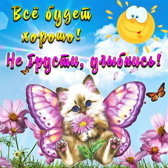 Смешная открытка улыбнись с котенком-бабочкой