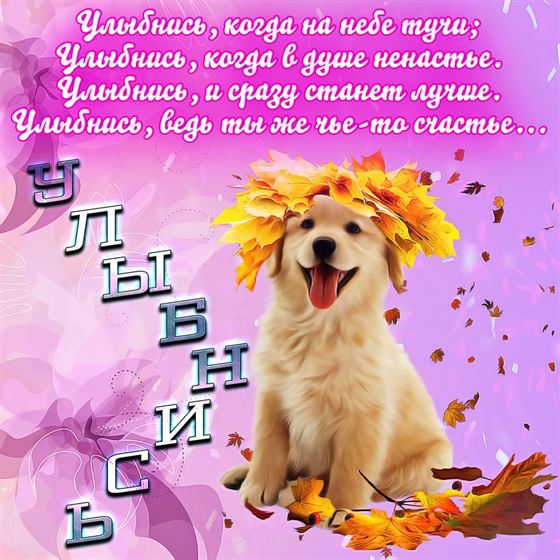 Трогательная открытка улыбнись с веселой собакой в листве