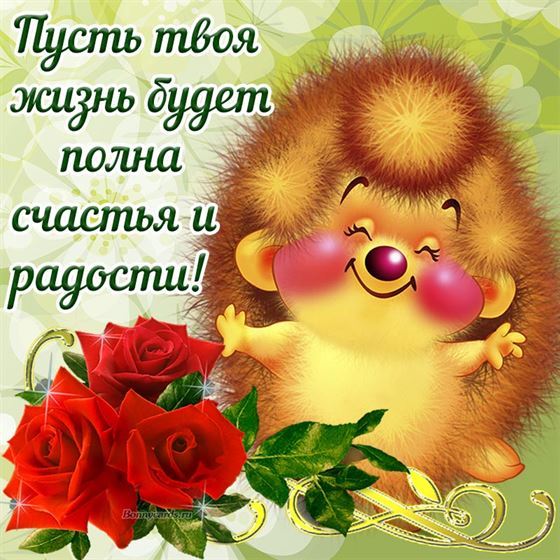 Милый ёжик желает счастья