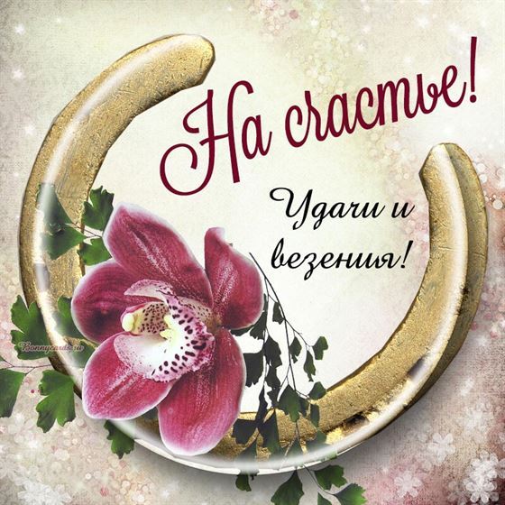 Пожелание счастья с красивым цветком