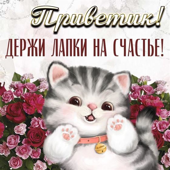 Милая открытка счастья с котёнком