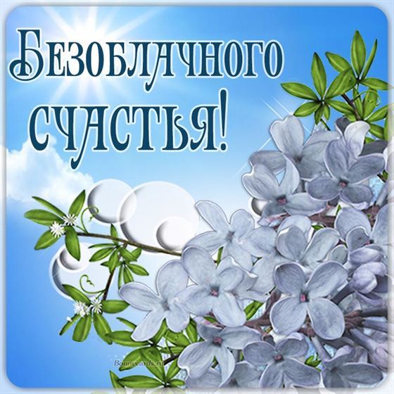 Трогательная открытка с пожеланием счастья с сиренью