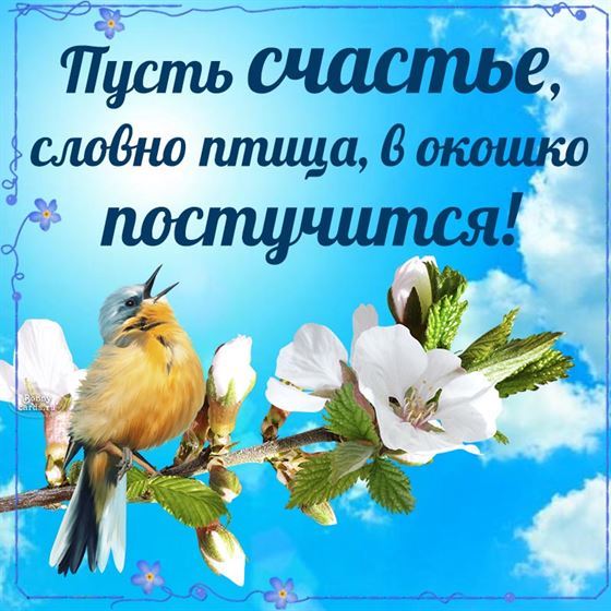 Оригинальная открытка на счастье с птичкой