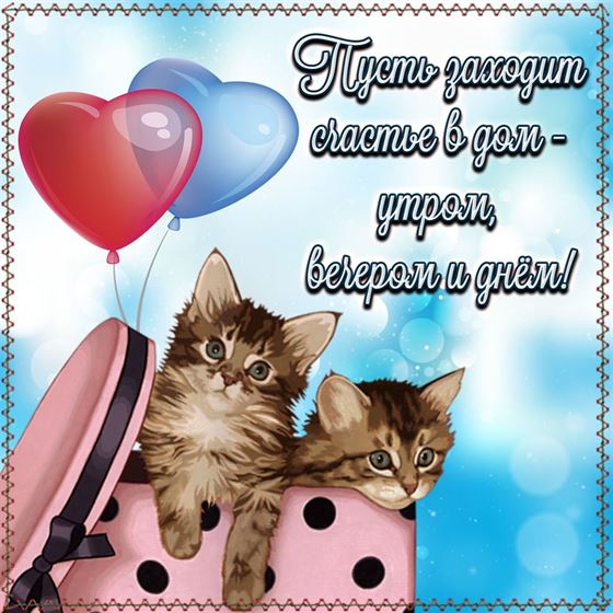 Трогательная открытка с котами на счастье