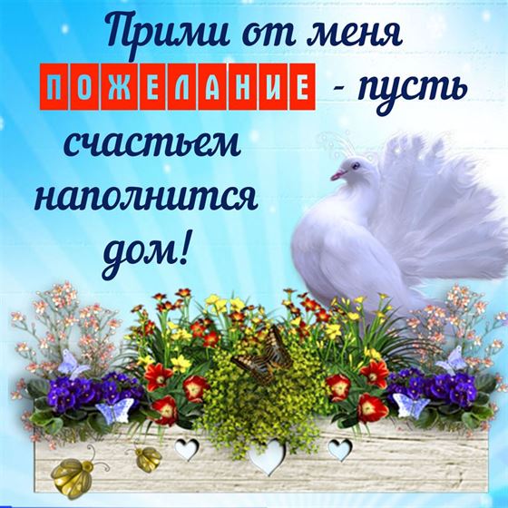 Креативная открытка с голубем на счастье