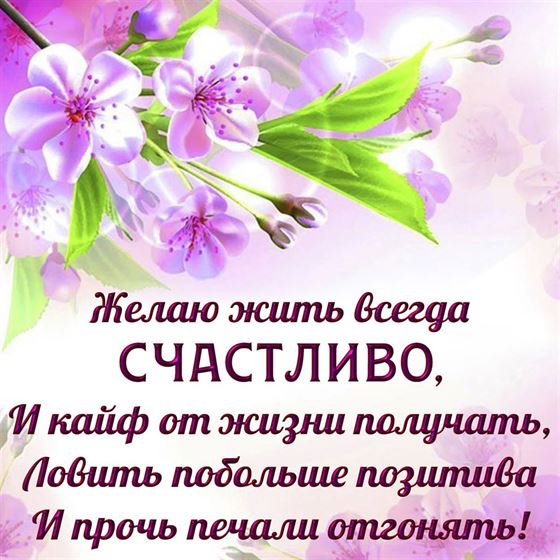 Желание жить всегда счастливо на розовом фоне