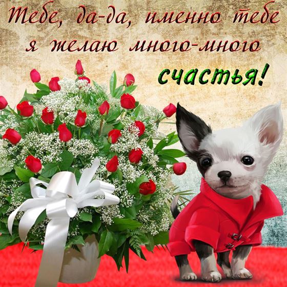 Смешная открытка с щенком на счастье
