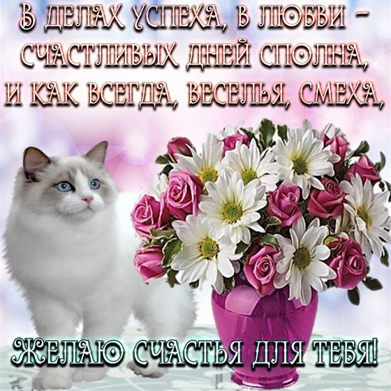 Замечательная открытка на счастье с котом и букетом