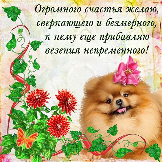 Оригинальная открытка на счастье с щенком 