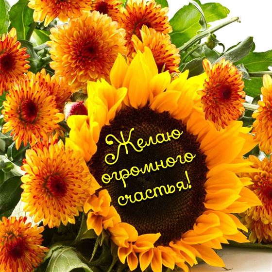 Открытка с пожеланием счастья в жёлтых цветах