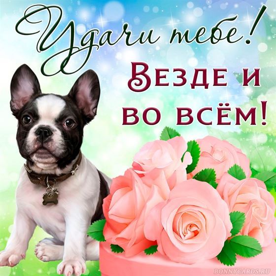 Удачи тебе везде и во всём