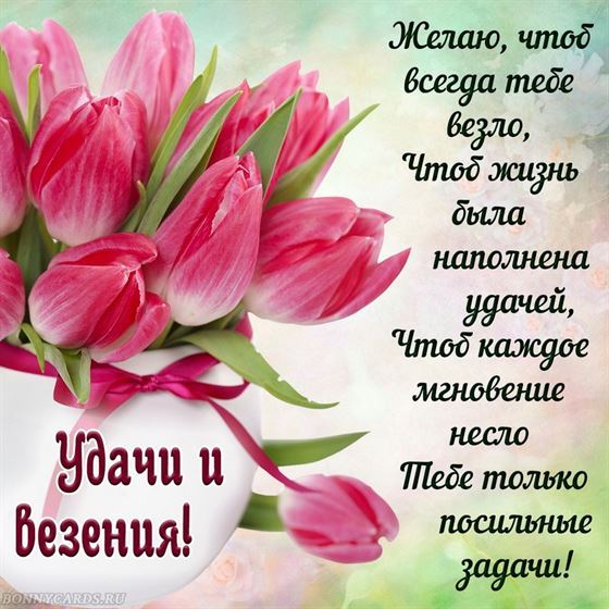 Пожелание удачи в стихах с тюльпанами