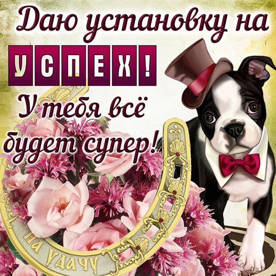 Открытка с собакой на удачу