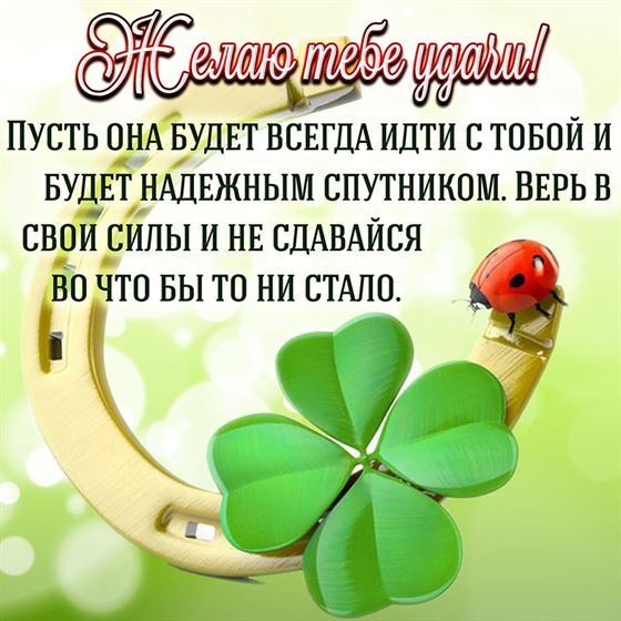 Оригинальная открытка с подковой и божьей коровкой