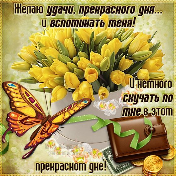 Картинка на удачу с желтыми тюльпанами