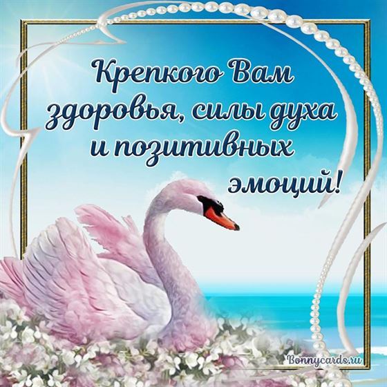 Открытка крепкого здоровья с лебедем в рамочке