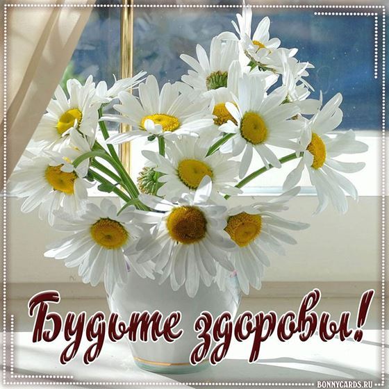 Открытка будьте здоровы с ромашками