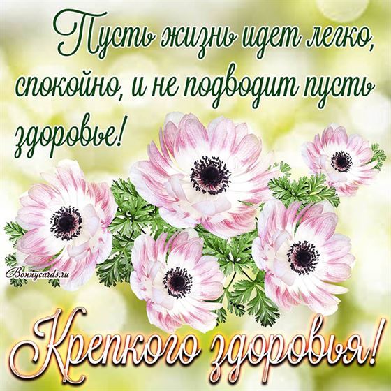 Пусть жизнь идёт легко, спокойно