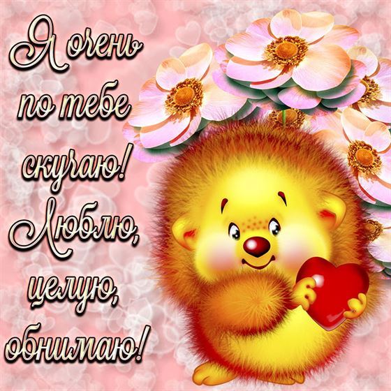 Забавная открытка скучаю с ёжиком