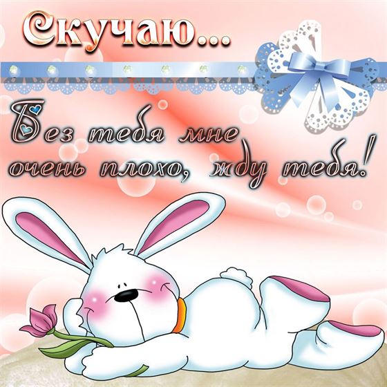 Креативная открытка скучаю с зайцем