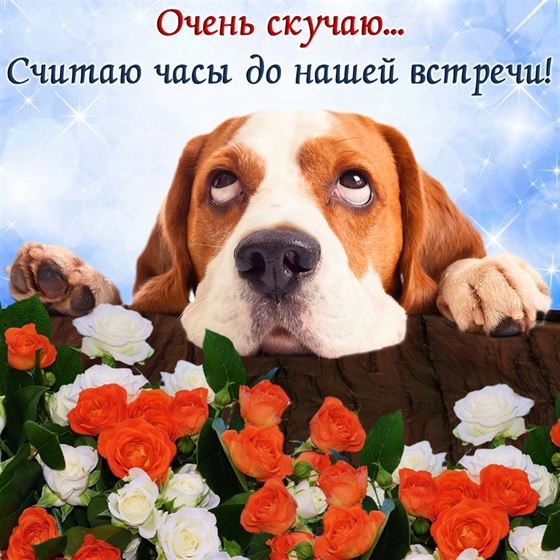 Считаю часы до нашей встречи