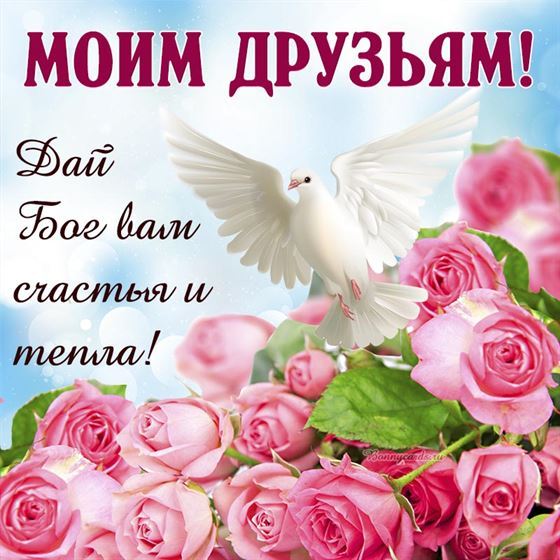 Креативная открытка друзьям с голубем