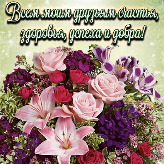 Красивая открытка друзьям с шикарным букетом