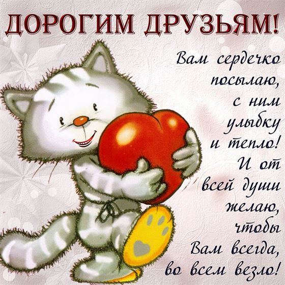 Прикольная открытка друзьям с котиком