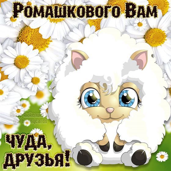 Смешная открытка друзьям с овечкой