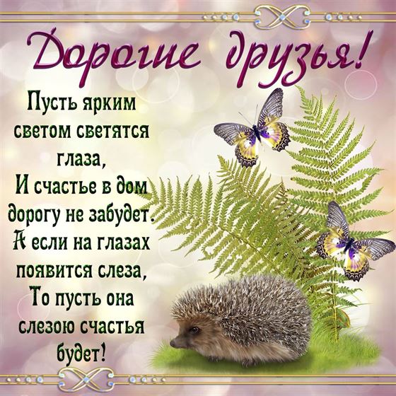 Милая открытка друзьям с ёжиком и бабочкой