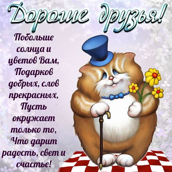 Прикольная открытка для друзей с толстым котом