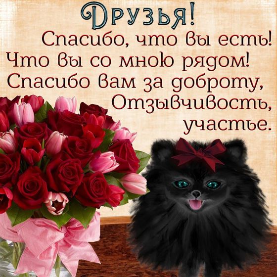 Друзья, спасибо, что вы есть