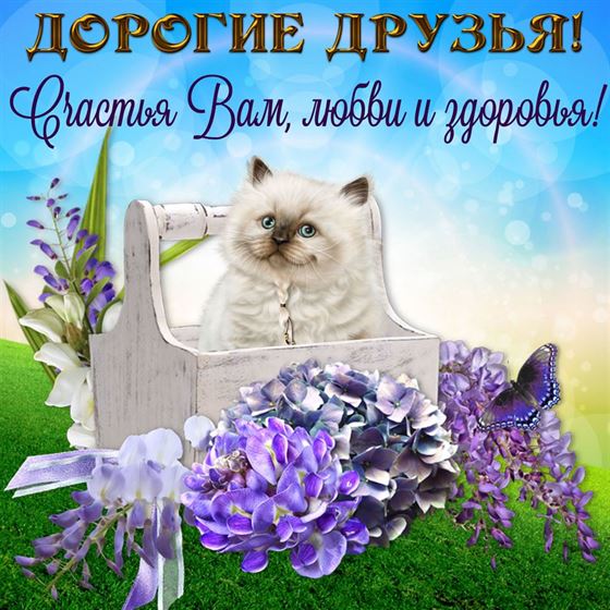 Оригинальная открытка друзьям с котёнком и цветами