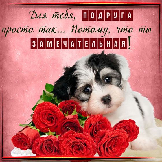 Милая открытка подруге с щеночком