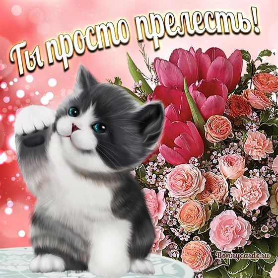 Картинка женщине с котенком