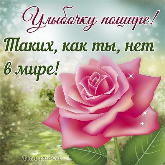 Милая открытка женщине с розой