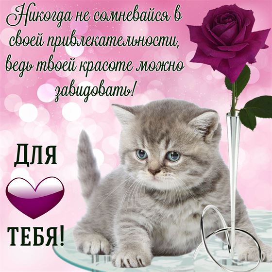 Открытка женщине с котом и розой